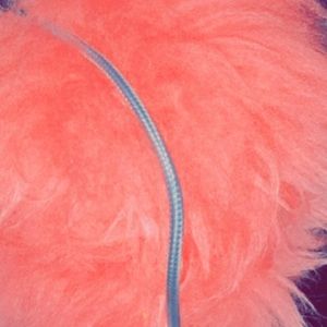 Meet your Posher, Dana